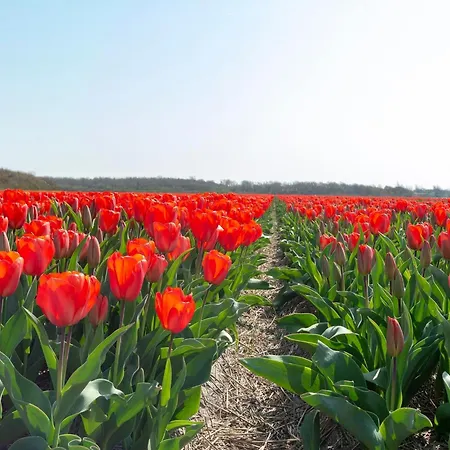 House In Near Scenic *
